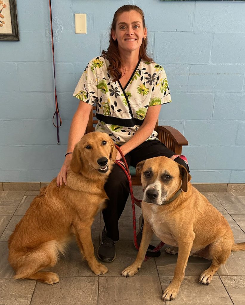 A pretty woman wearing medical scrubs with a green floral print sits in a chair. Seated in front of her are two dogs. On the left is a young Golden Retriever, and on the right is a senior hound mix.