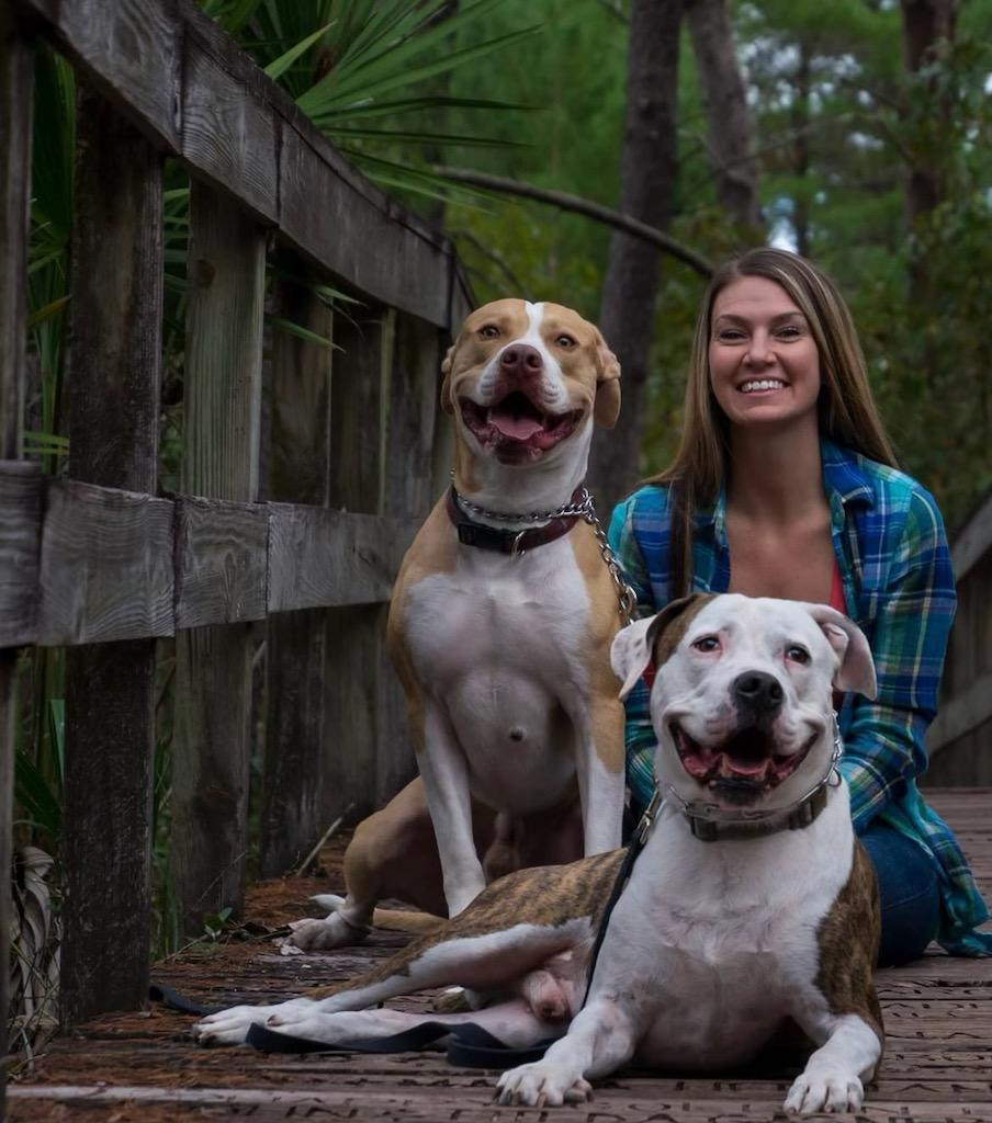 A pretty, smiling, blonde woman is sitting on the ground with two smiling pitbull dogs. One is brown and white, and the other is brindle and white.